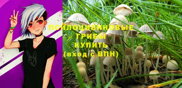 экстази Арсеньев