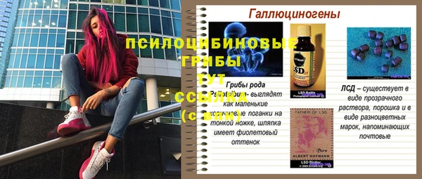 mix Баксан